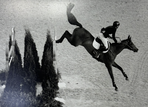 A black-and-white photograph captures a dramatic moment in an equestrian show jumping event. A rider, dressed in traditional competition attire with a helmet, jacket, and white breeches, is mid-air on a horse that is nearly vertical after an awkward jump. The horse's hind legs are high above the obstacle, while its front legs are extended forward. The rider leans forward, gripping the reins, trying to maintain balance. The background consists of an arena with a sandy surface, and a set of tall, neatly arranged evergreen trees flanking the jump.